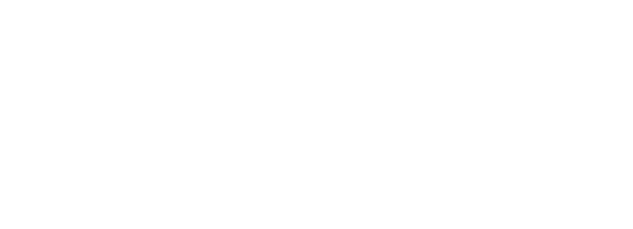 baloane logo alb